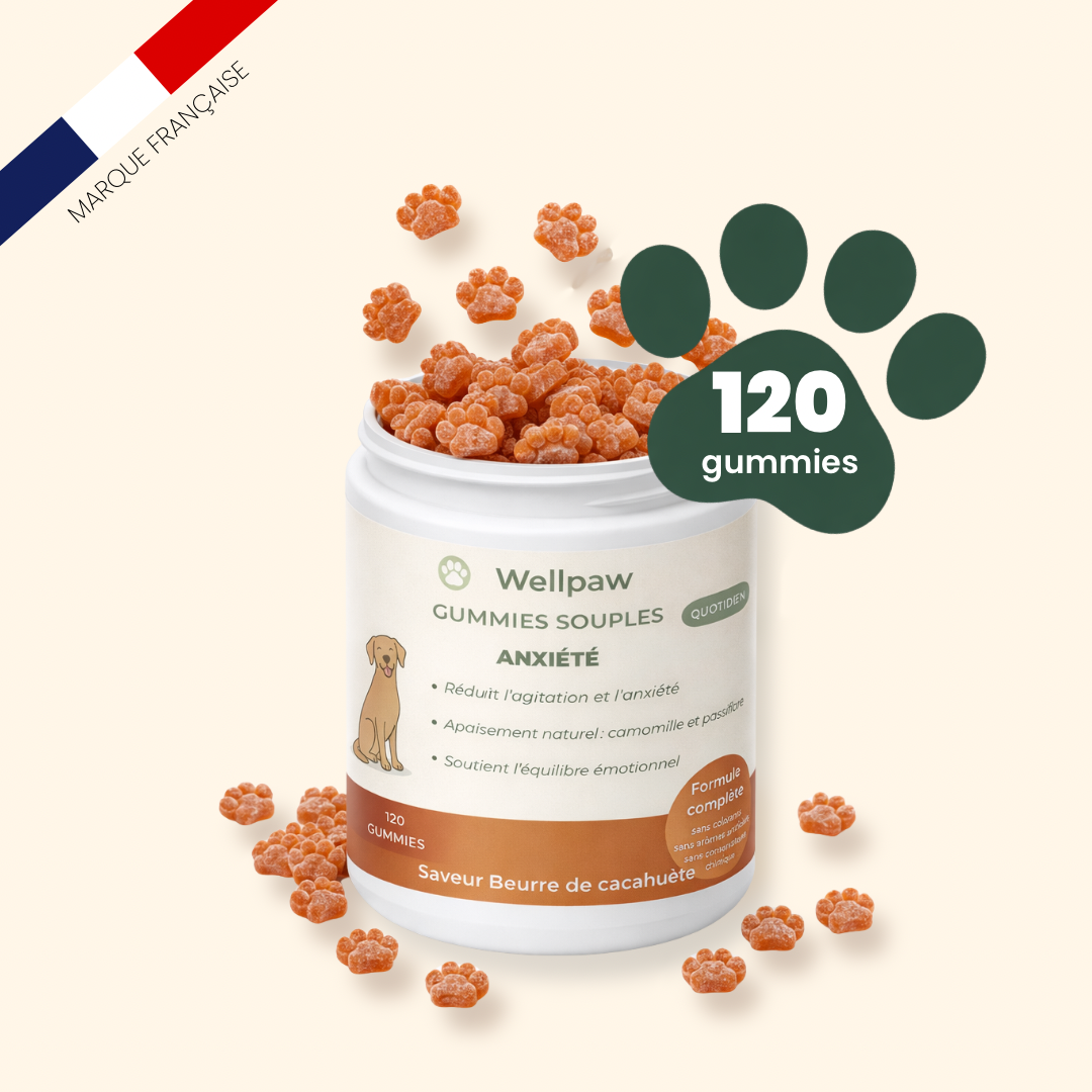 Gummies wellpaw