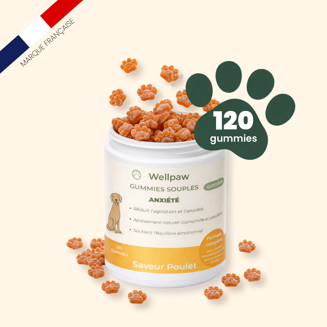 Gummies wellpaw