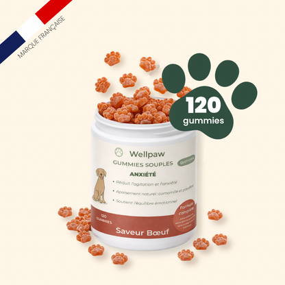 Gummies wellpaw
